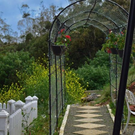 Newbury Villa Nuwara Eliya Buitenkant foto